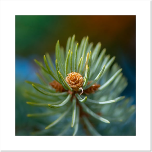 On Pines and Needles Wall Art by BCP Design